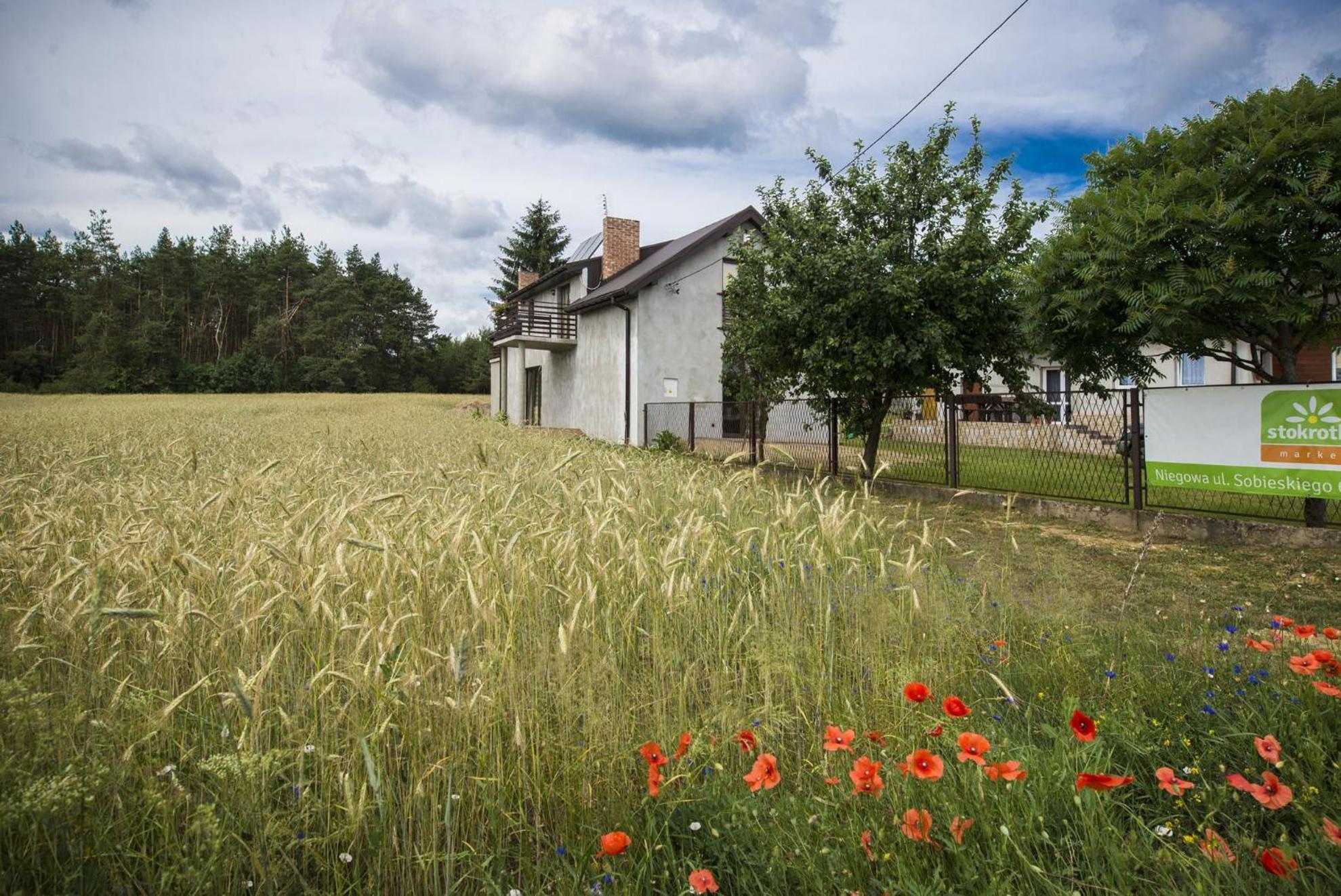 Jurajskie Pokoje Pod Lasem Bobolice  Buitenkant foto